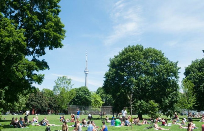 Toronto City Highlights - Guided Express Tour - Foto 7